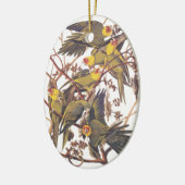 Audubon's Carolina Paraket Keramisch Ornament (Links)