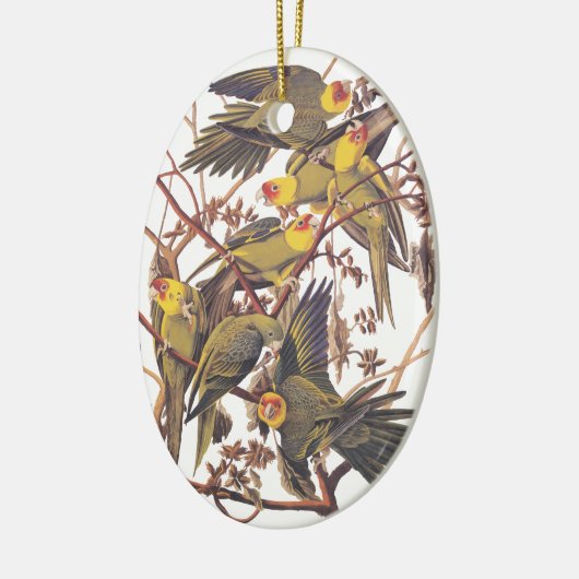 Audubon's Carolina Paraket Keramisch Ornament (Links)