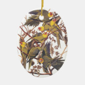 Audubon's Carolina Paraket Keramisch Ornament (Voorkant)