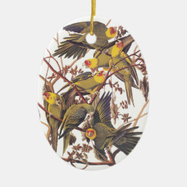 Audubon's Carolina Paraket Keramisch Ornament