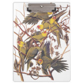 Audubon's Carolina Paraket Klembord (Voorkant)