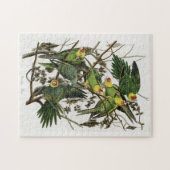Audubon's Carolina Paraket Legpuzzel (Horizontaal)