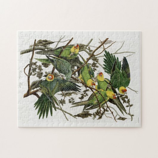 Audubon's Carolina Paraket Legpuzzel (Horizontaal)