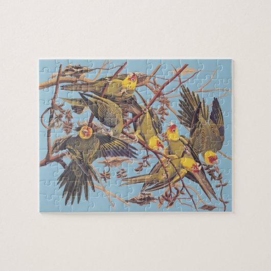 Audubon's Carolina Paraket Legpuzzel (Horizontaal)