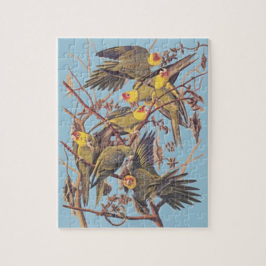 Audubon's Carolina Paraket Legpuzzel (Verticaal)