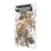 Audubon's Carolina Paraket Mini Klembord (Angled2)