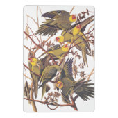 Audubon's Carolina Paraket Mini Klembord (Achterkant)