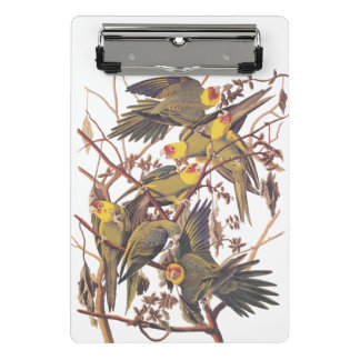 Audubon's Carolina Paraket Mini Klembord