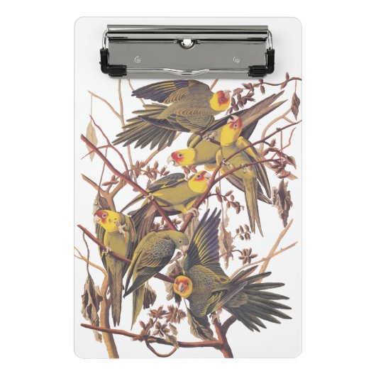 Audubon's Carolina Paraket Mini Klembord (Voorkant)