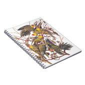 Audubon's Carolina Paraket Notitieboek (Rechterzijde)