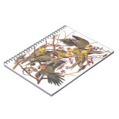 Audubon's Carolina Paraket Notitieboek (Linkerzijde)