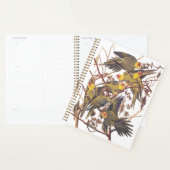 Audubon's Carolina Paraket Planner (Display)