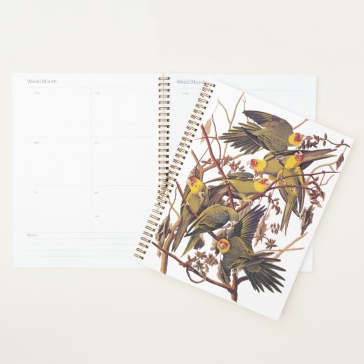 Audubon's Carolina Paraket Planner (Display)