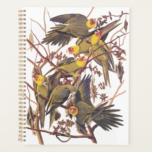 Audubon's Carolina Paraket Planner (Voorkant)