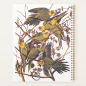Audubon's Carolina Paraket Planner (Achterkant)