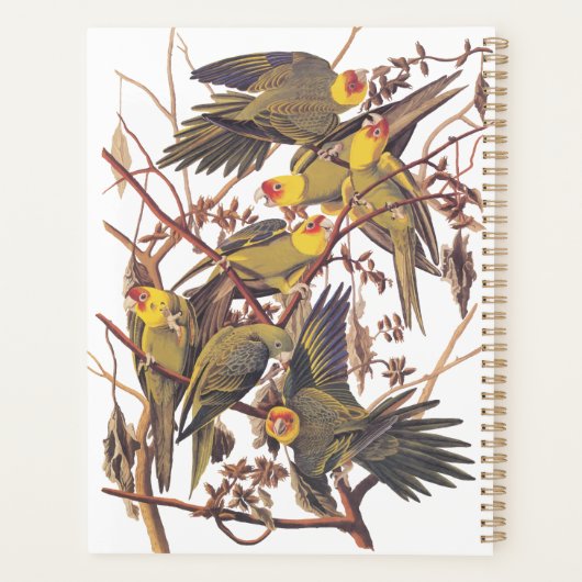 Audubon's Carolina Paraket Planner (Achterkant)