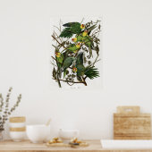 Audubon's Carolina Paraket Poster (Keuken)
