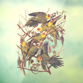 Audubon's Carolina Paraket Raamsticker (Vel 3)