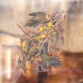 Audubon's Carolina Paraket Raamsticker (Vel 2)