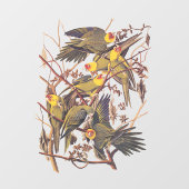 Audubon's Carolina Paraket Raamsticker (Vel)