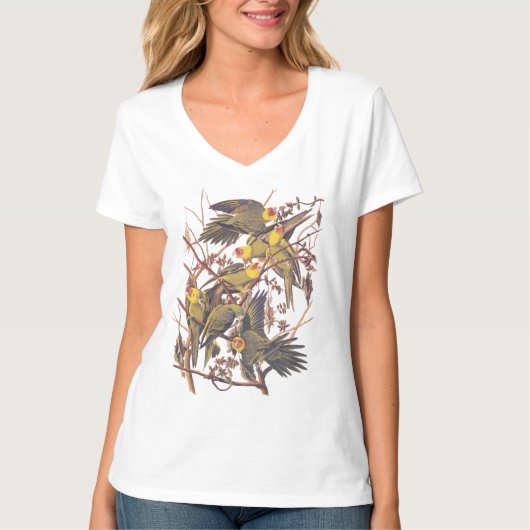 Audubon's Carolina Paraket T-shirt (Voorkant)