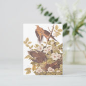 Audubon's Carolina Turtle Dove Briefkaart (Staand voorkant)