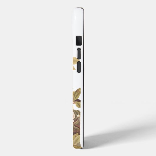 Audubon's Carolina Turtle Dove Case-Mate iPhone Case (Achterkant / Links)