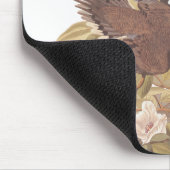Audubon's Carolina Turtle Dove Muismat (Hoek)