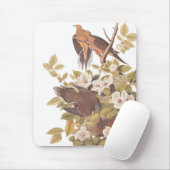 Audubon's Carolina Turtle Dove Muismat (Met muis)