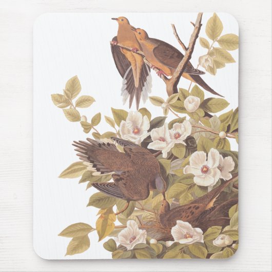 Audubon's Carolina Turtle Dove Muismat (Voorkant)