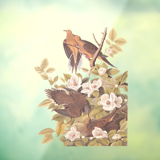 Audubon's Carolina Turtle Dove Raamsticker (Vel 3)