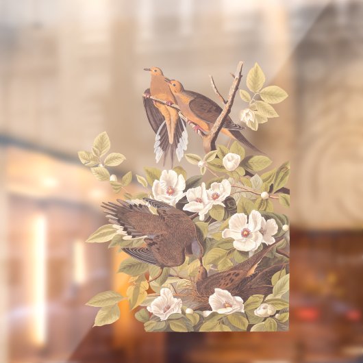 Audubon's Carolina Turtle Dove Raamsticker (Vel 2)