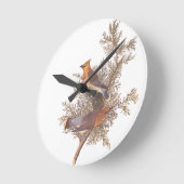 Audubon's Cedar Waxwing Bird Paar op Juniper Tree Ronde Klok (Hoek)