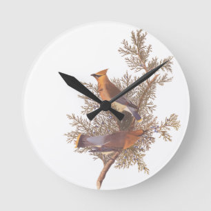 Audubon's Cedar Waxwing Bird Paar op Juniper Tree Ronde Klok