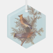 Audubon's Cedar Waxwing Bird Pair op Evergreen Glas Ornament (Voorkant)