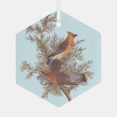 Audubon's Cedar Waxwing Bird Pair op Evergreen Glas Ornament (Achterkant)