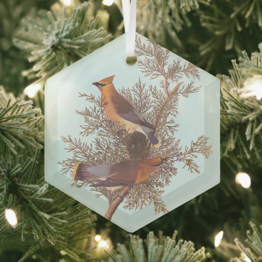 Audubon's Cedar Waxwing Bird Pair op Evergreen Glas Ornament (Insitu)