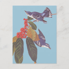 Audubon's Cerulean Warbler Bird Pair met Berries Briefkaart