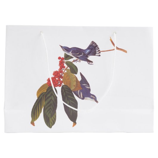 Audubon's Cerulean Warbler vogels met Beer Berries Groot Cadeauzakje (Achterkant)