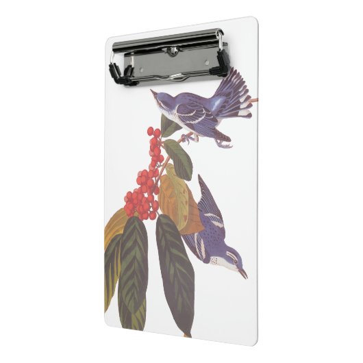 Audubon's Cerulean Warbler vogels met Beer Berries Mini Klembord (Angled2)