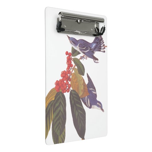 Audubon's Cerulean Warbler vogels met Beer Berries Mini Klembord (Schuin)