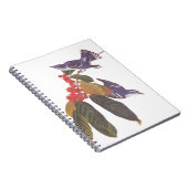 Audubon's Cerulean Warbler vogels met Beer Berries Notitieboek (Rechterzijde)