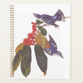 Audubon's Cerulean Warbler vogels met Beer Berries Planner (Voorkant)