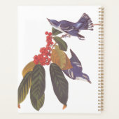 Audubon's Cerulean Warbler vogels met Beer Berries Planner (Achterkant)