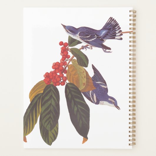 Audubon's Cerulean Warbler vogels met Beer Berries Planner (Achterkant)