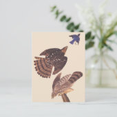 Audubon's Coopers Hawk Bird of Prey Briefkaart (Staand voorkant)
