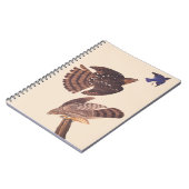 Audubon's Coopers Hawk Bird of Prey Notitieboek (Linkerzijde)