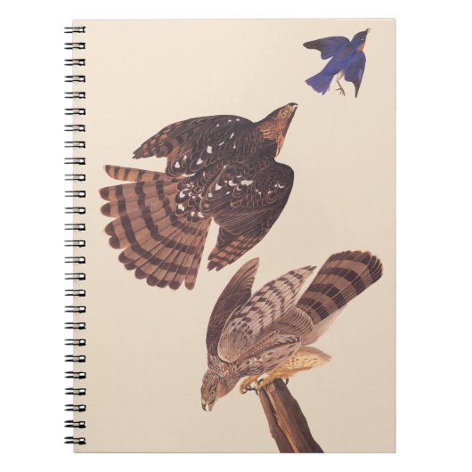 Audubon's Coopers Hawk Bird of Prey Notitieboek (Voorkant)