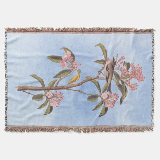 Audubon's Cuvier's Kinglet Mystery Bird Deken (Voorkant)