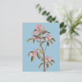 Audubon's Cuvier's Kinglet Vogel op Roze Calico-Bu Briefkaart (Staand voorkant)